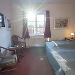 Frederiksvaerk Hotel Hotel 3*