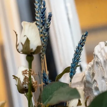 Frederiksvaerk Hotel Отель