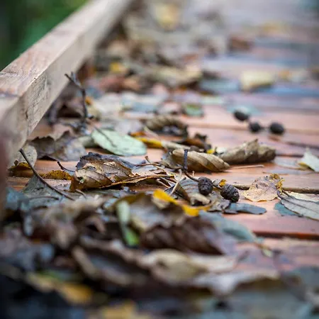 ホテル フレズレクスヴェアク ホテル 3*