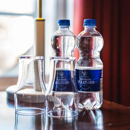 ホテル ホテル フレズレクスヴェアク