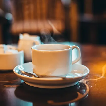 ホテル ホテル フレズレクスヴェアク 3*